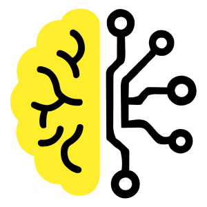 Brain